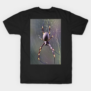 Australian Orb Weaver Spider T-Shirt